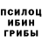 Галлюциногенные грибы GOLDEN TEACHER Nika Kyznetzova