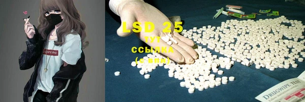 стафф Иннополис