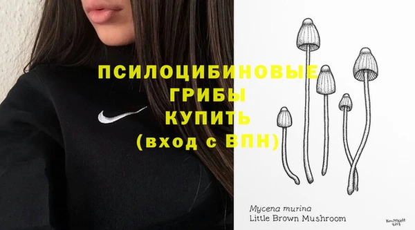 стаф Каменногорск