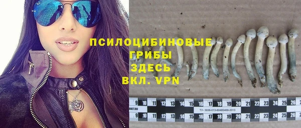 стафф Иннополис