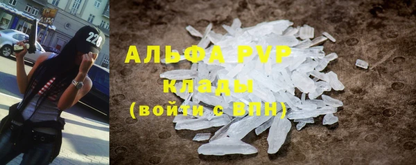 стаф Каменск-Шахтинский