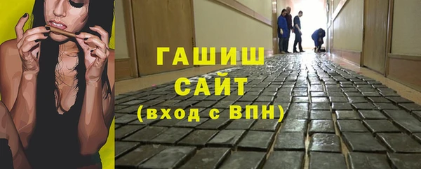 стаф Каменногорск